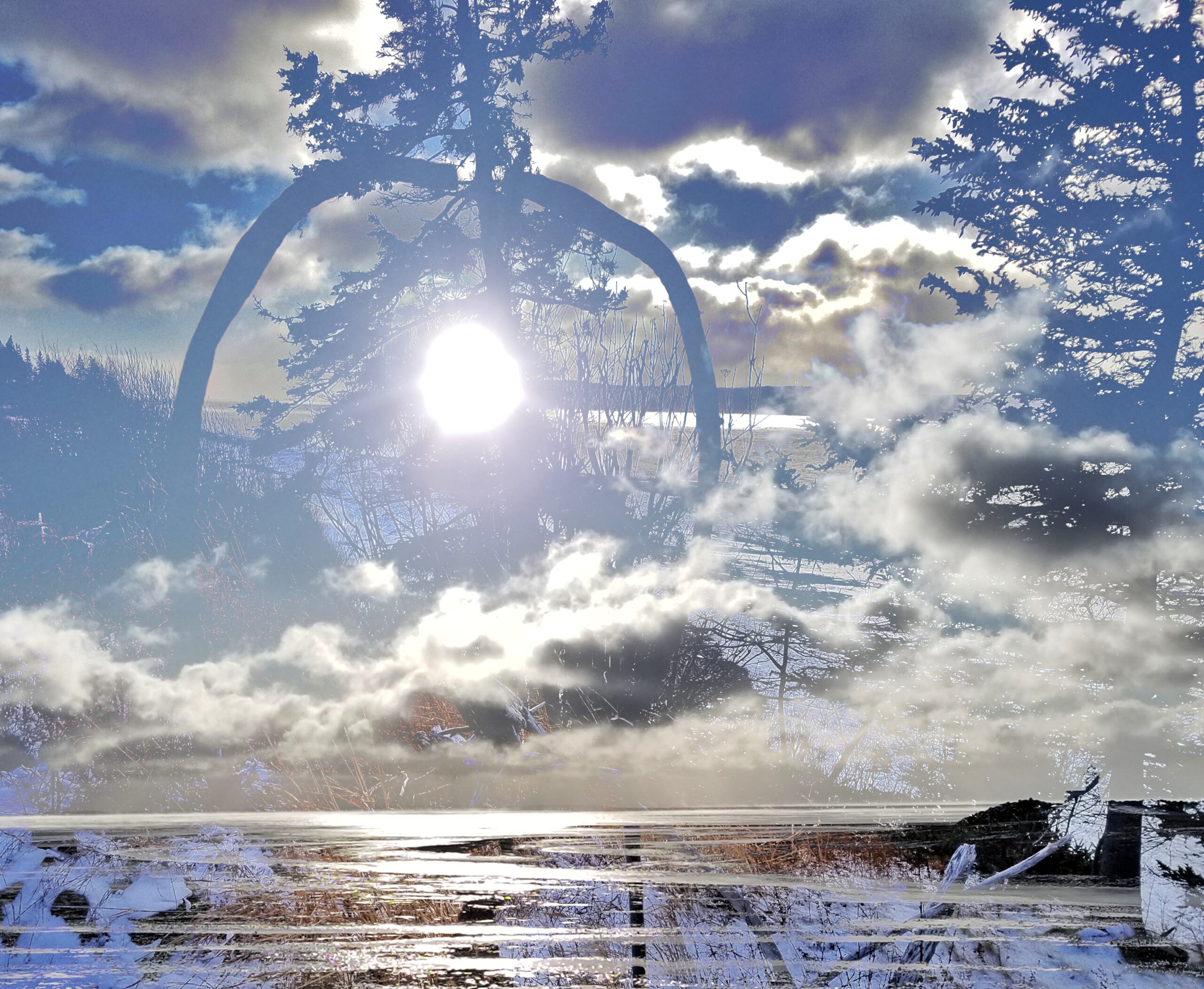 Paul Smedberg: Artist With a Cellphone Camera