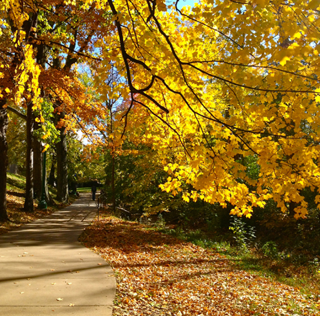 Indiana University in Fall (Photo Gallery)