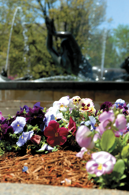 Bloom’s Greatest Hits: IU Campus in Spring