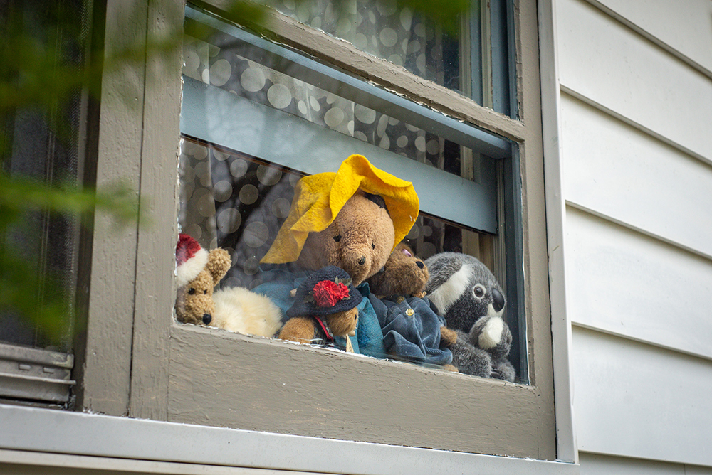 Bloomington Neighborhood Organizes Teddy Bear Hunt