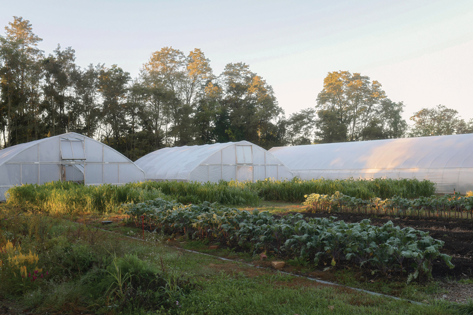 The IU Campus Farm: Food for Thought