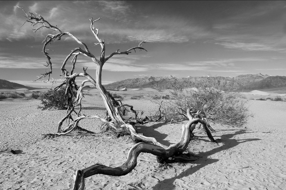 Fourth Street Festival: Expect 120 booths, 40,000+ Patrons