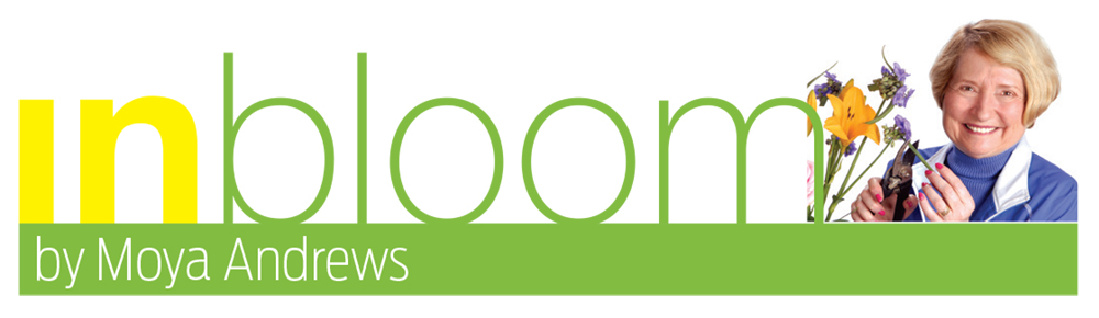 Get Ready to Be Inspired at Summer Garden Walk