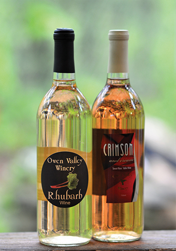 Exploring Owen Valley Wines