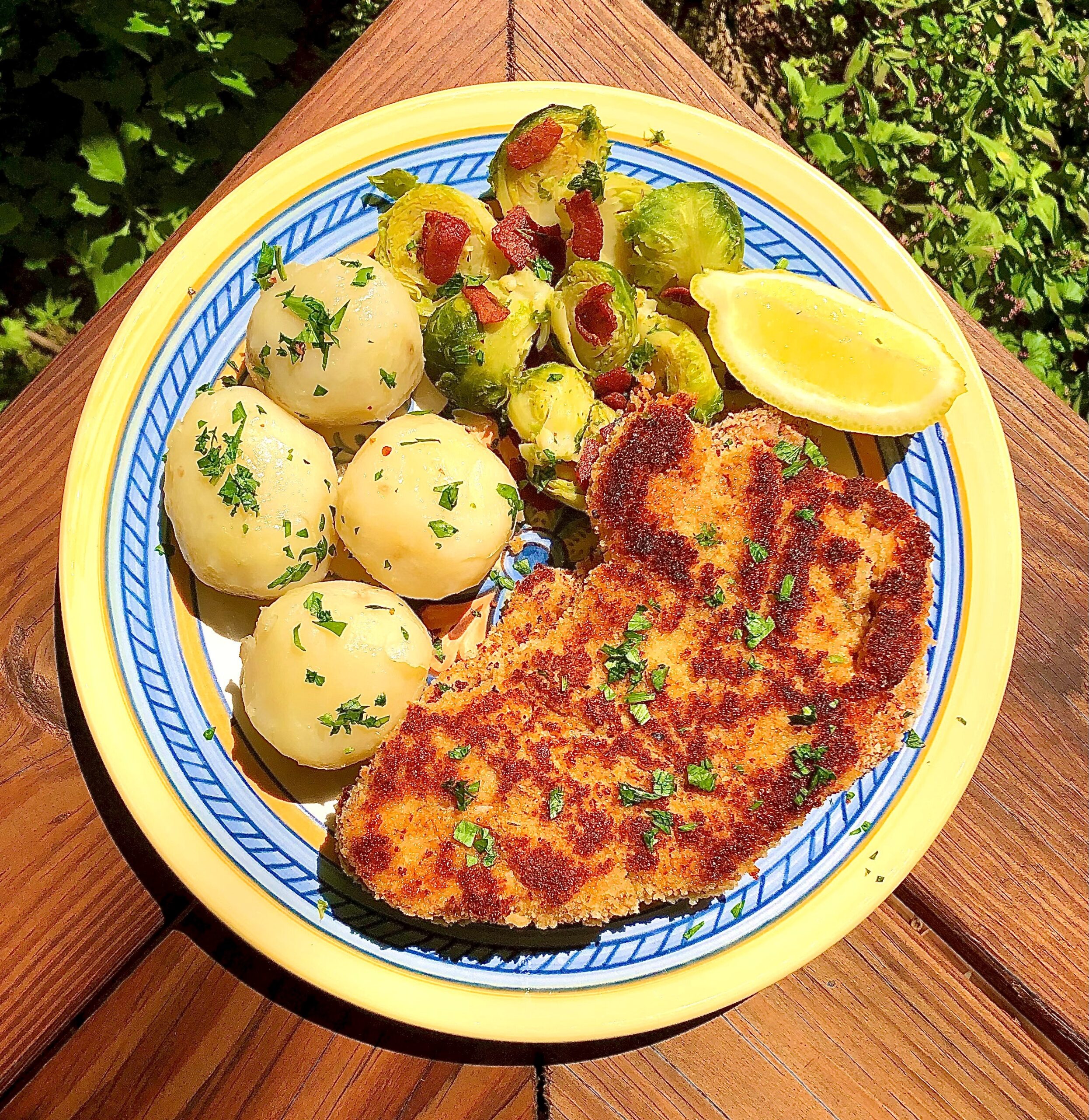 Dishes of the World—Schnitzel