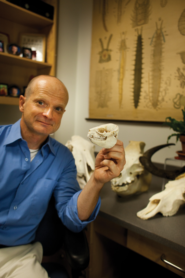 For the Love of Teeth and Skulls: Bringing Them into the Classroom