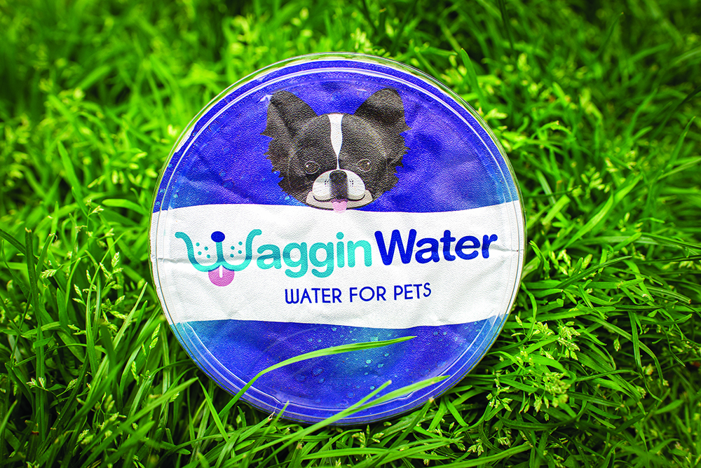 Waggin Water: For Dogs on the Go