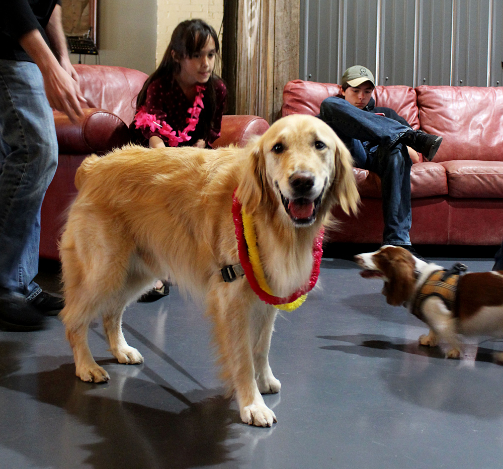 Jordy the CASA Dog Helps  Kids Through Tough Times